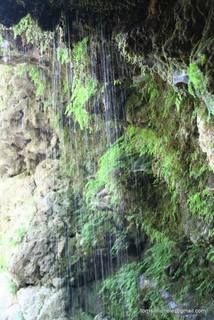 ldaia del Drago25-07-2015 20-18-17